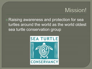 Raising awareness and protection for sea
turtles around the world as the world oldest
sea turtle conservation group
