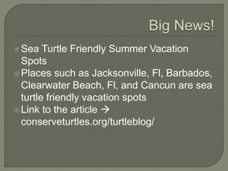 Sea Turtle Friendly Summer Vacation
Spots
Places such as Jacksonville, Fl, Barbados,
Clearwater Beach, Fl, and Cancun are sea
turtle friendly vacation spots
Link to the article
conserveturtles.org/turtleblog/