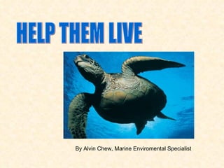 HELP THEM LIVE By Alvin Chew, Marine Enviromental Specialist 
