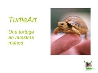 TurtleArt Una tortuga  en nuestras  manos  