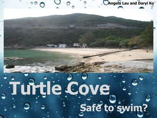 Turtle Cove Safe to swim? Angela Lau and Daryl Ko 