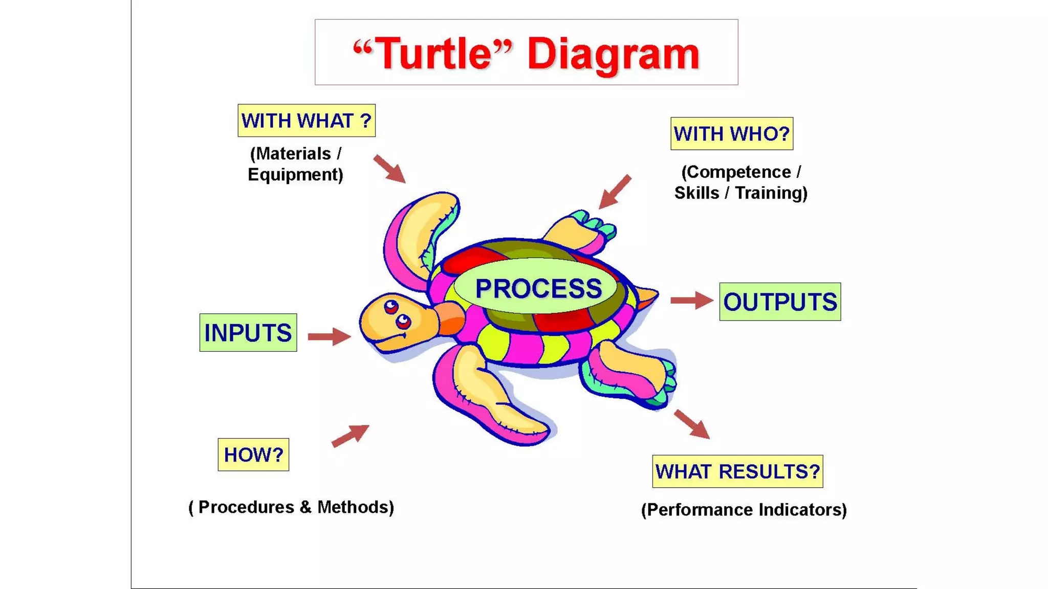 Turtle diagram | PPT