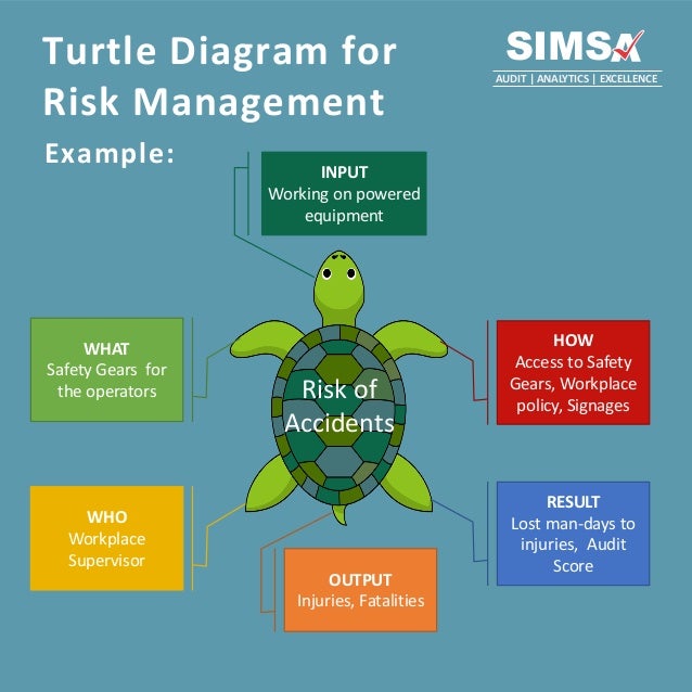 Turtle diagram for risk assessment
