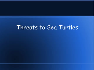Threats to Sea Turtles 