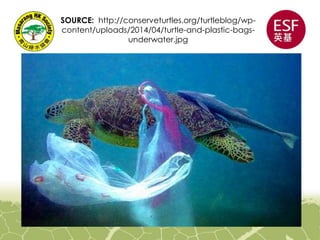 SOURCE: http://conserveturtles.org/turtleblog/wp-
content/uploads/2014/04/turtle-and-plastic-bags-
underwater.jpg
 