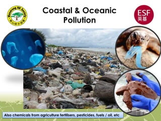 Coastal & Oceanic
Pollution
Also chemicals from agriculture fertilisers, pesticides, fuels / oil, etc
 
