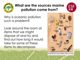 What are the sources marine
pollution come from?
Why is oceanic pollution
such a problem?
Look around the room at
items that we might
dispose of and try and
find out how long it would
take for some of these
items to decompose.
 