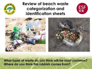 Review of beach waste
categorization and
identification sheets
What types of waste do you think will be most common?
Where do you think this rubbish comes from?
 