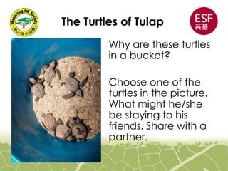 The Turtles of Tulap
Why are these turtles
in a bucket?
Choose one of the
turtles in the picture.
What might he/she
be staying to his
friends. Share with a
partner.
 