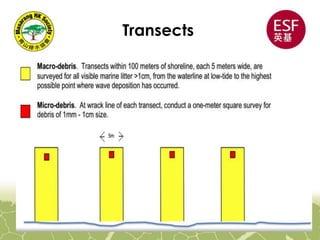 Transects
 