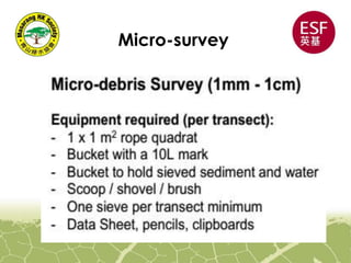 Micro-survey
 
