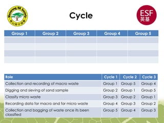 Cycle
Group 1 Group 2 Group 3 Group 4 Group 5
Role Cycle 1 Cycle 2 Cycle 3
Collection and recording of macro waste Group 1 Group 5 Group 4
Digging and sieving of sand sample Group 2 Group 1 Group 5
Classify micro waste Group 3 Group 2 Group 1
Recording data for macro and for micro waste Group 4 Group 3 Group 2
Collection and bagging of waste once its been
classified
Group 5 Group 4 Group 3
 