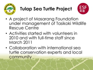 Tulap Sea Turtle Project
• A project of Masarang Foundation
under management of Tasikoki Wildlife
Rescue Centre
• Activities started with volunteers in
2010 and with full-time staff since
March 2011
• Collaboration with international sea
turtle conservation experts and local
community
 