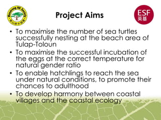 Project Aims
• To maximise the number of sea turtles
successfully nesting at the beach area of
Tulap-Toloun
• To maximise the successful incubation of
the eggs at the correct temperature for
natural gender ratio
• To enable hatchlings to reach the sea
under natural conditions, to promote their
chances to adulthood
• To develop harmony between coastal
villages and the coastal ecology
 