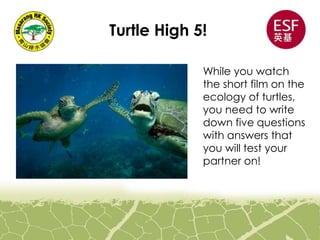 Turtle High 5!
While you watch
the short film on the
ecology of turtles,
you need to write
down five questions
with answers that
you will test your
partner on!
 