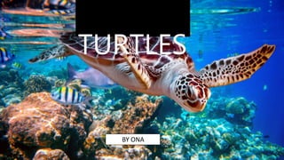 By Ona
TURTLES
BY ONA
 