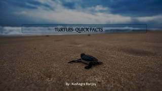 TURTLES- QUICKFACTS
By- Kushagra Ranjay
 