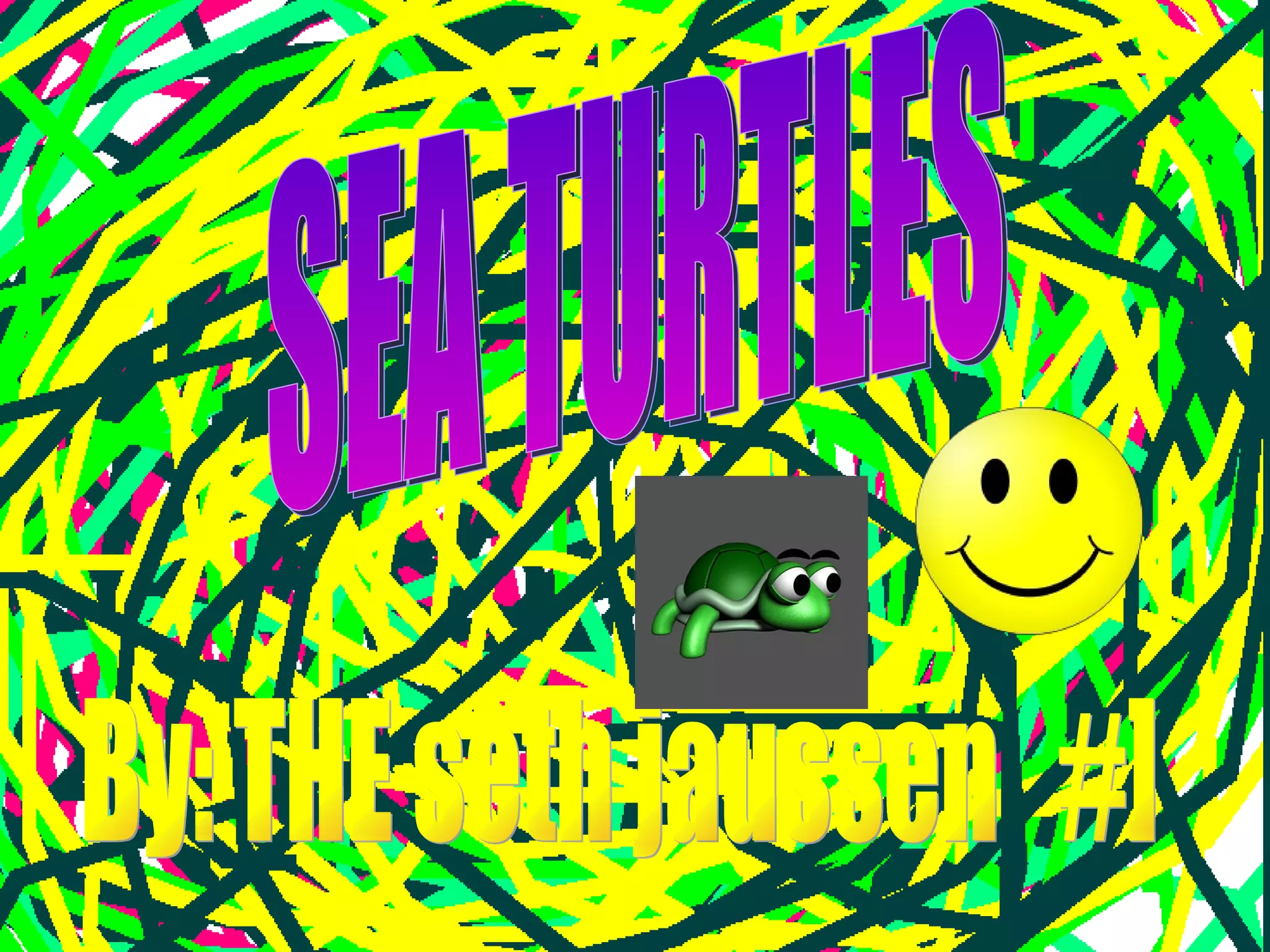 Turtles Seth | PPT