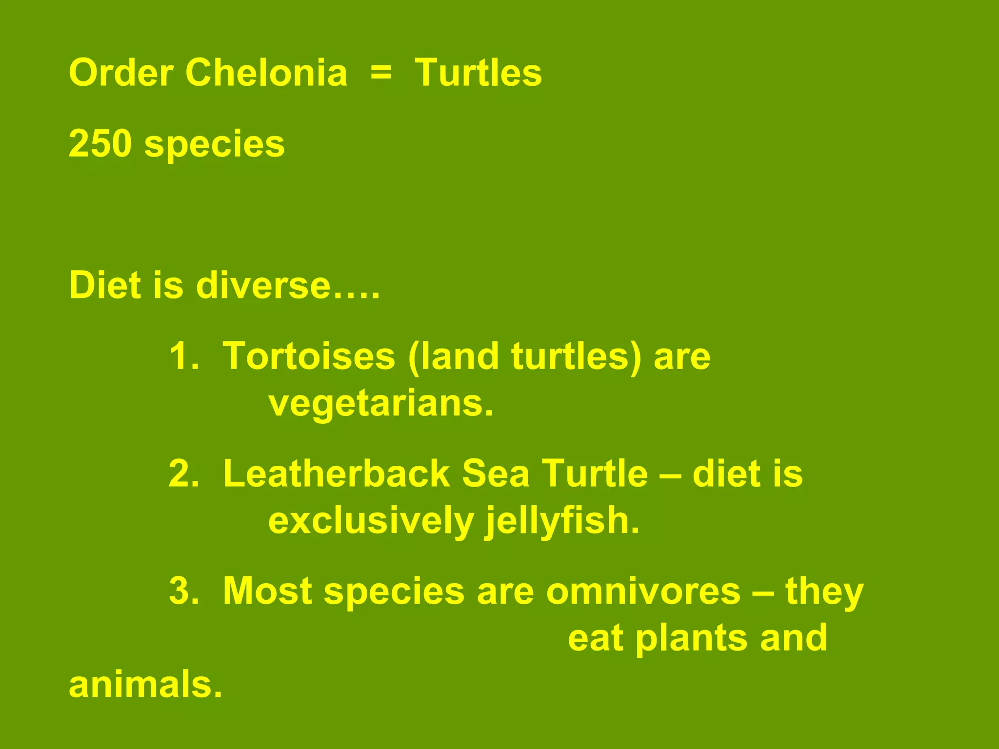 Order Chelonia = Turtles
250 species
Diet is diverse….
1. Tortoises (land turtles) are
vegetarians.
2. Leatherback Sea Turtle – diet is
exclusively jellyfish.
3. Most species are omnivores – they
eat plants and
animals.
 