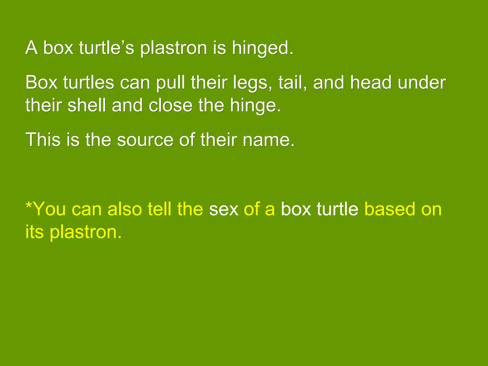 A box turtle’s plastron is hinged.A box turtle’s plastron is hinged.
Box turtles can pull their legs, tail, and head underBox turtles can pull their legs, tail, and head under
their shell and close the hinge.their shell and close the hinge.
This is the source of their name.This is the source of their name.
*You can also tell the sex of a box turtle based on
its plastron.
 