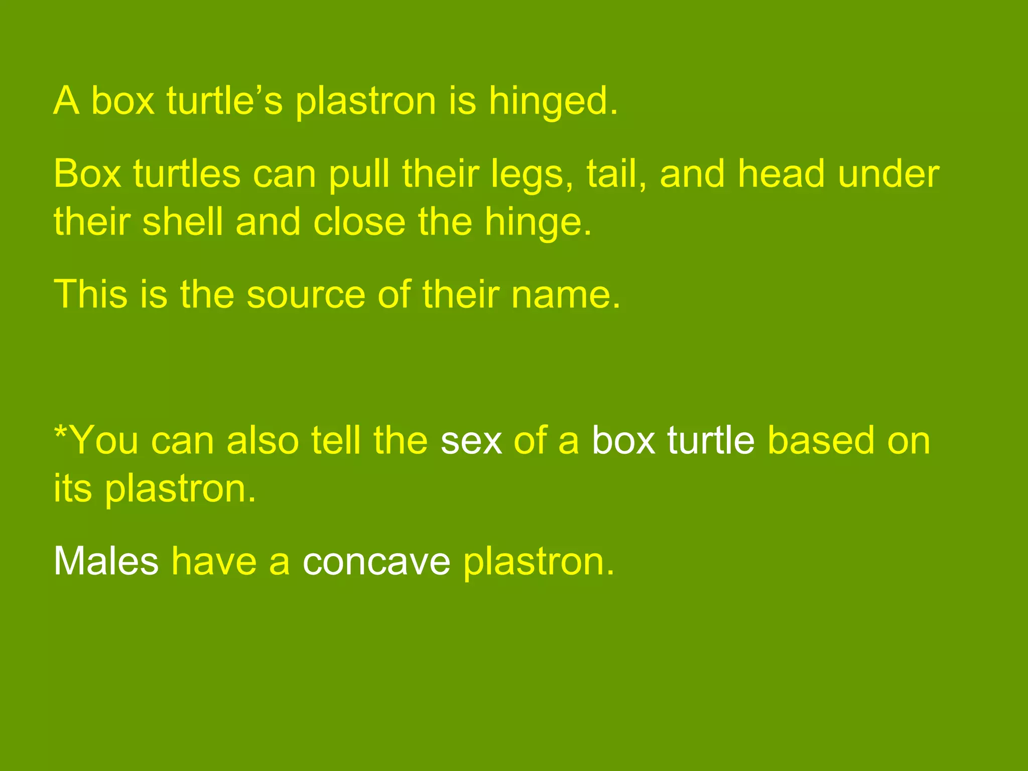 A box turtle’s plastron is hinged.
Box turtles can pull their legs, tail, and head under
their shell and close the hinge.
This is the source of their name.
*You can also tell the sex of a box turtle based on
its plastron.
Males have a concave plastron.
 