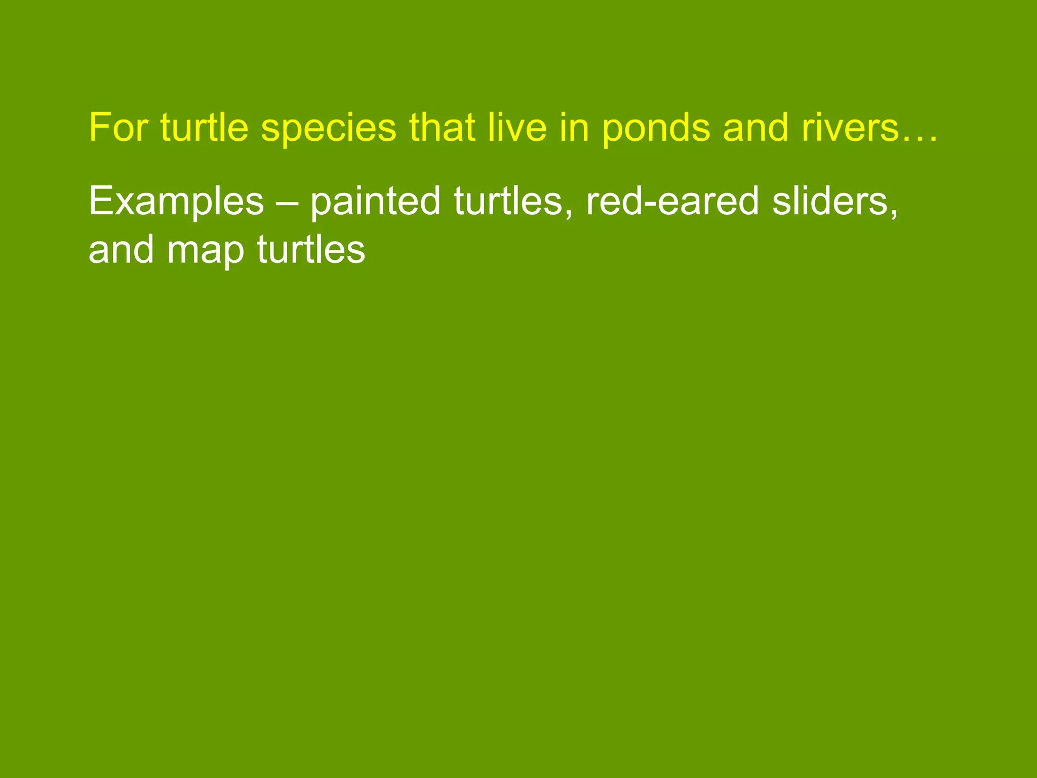 For turtle species that live in ponds and rivers…
Examples – painted turtles, red-eared sliders,
and map turtles
 