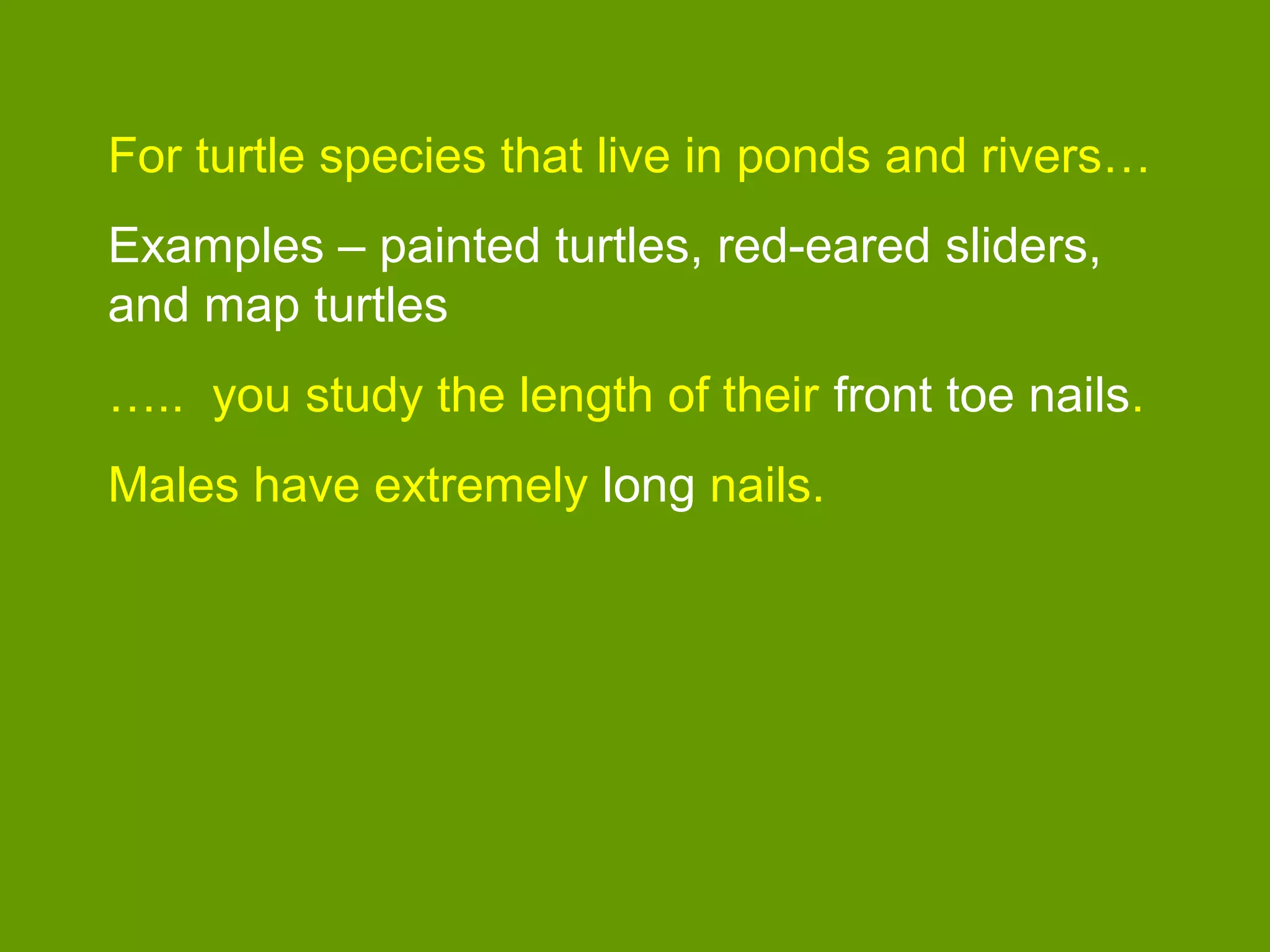 For turtle species that live in ponds and rivers…
Examples – painted turtles, red-eared sliders,
and map turtles
….. you study the length of their front toe nails.
Males have extremely long nails.
 
