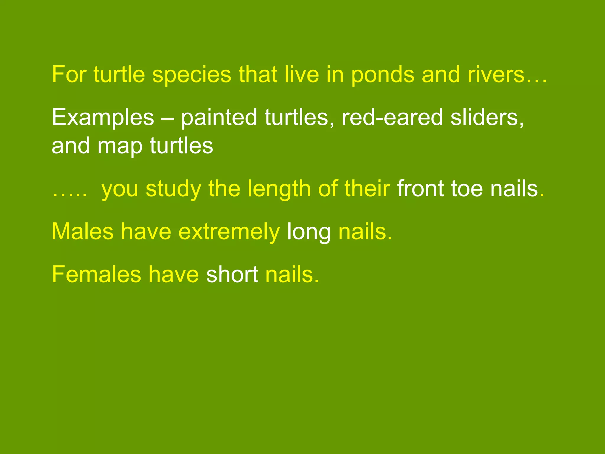 For turtle species that live in ponds and rivers…
Examples – painted turtles, red-eared sliders,
and map turtles
….. you study the length of their front toe nails.
Males have extremely long nails.
Females have short nails.
 
