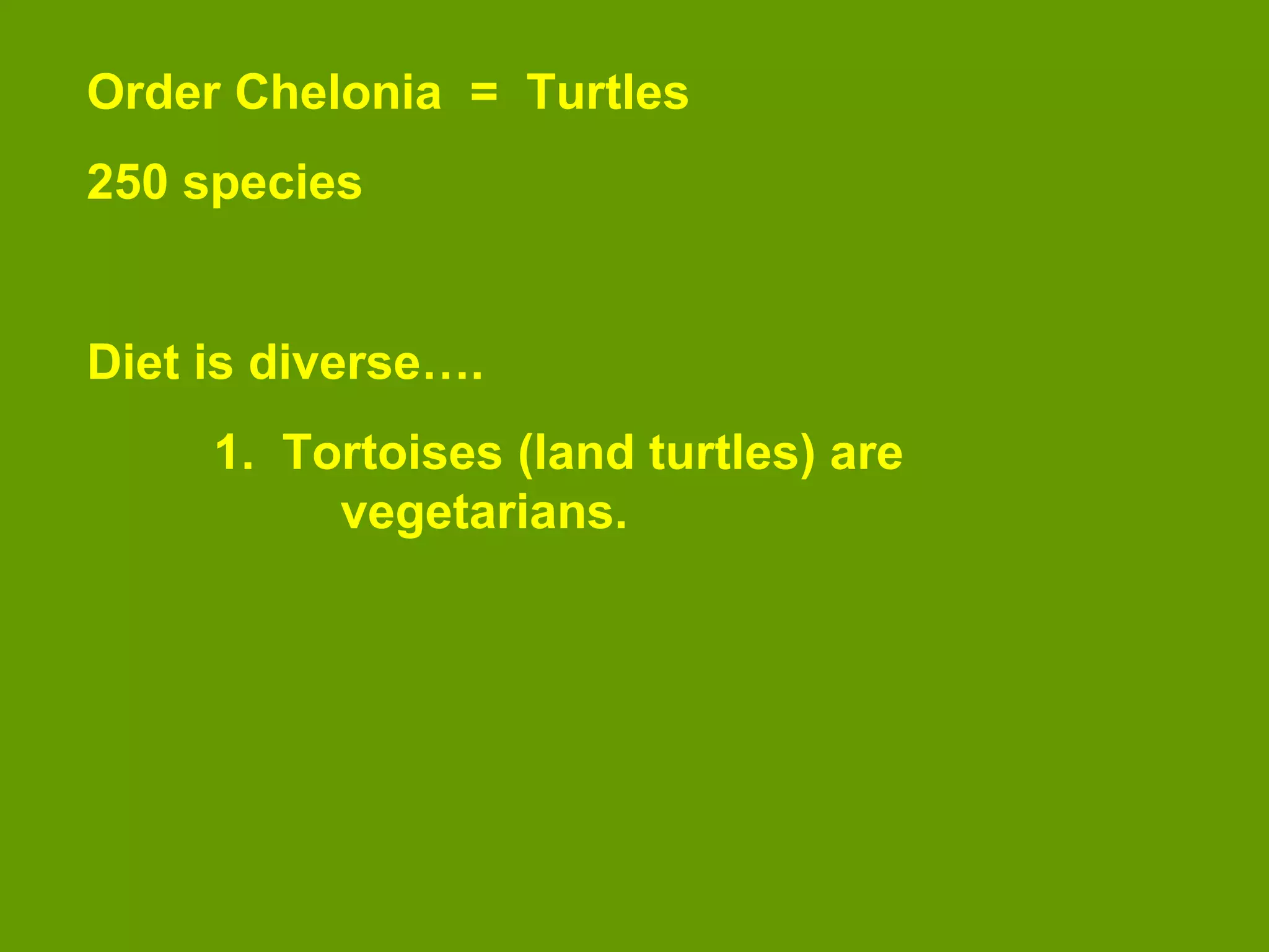 Order Chelonia = Turtles
250 species
Diet is diverse….
1. Tortoises (land turtles) are
vegetarians.
 