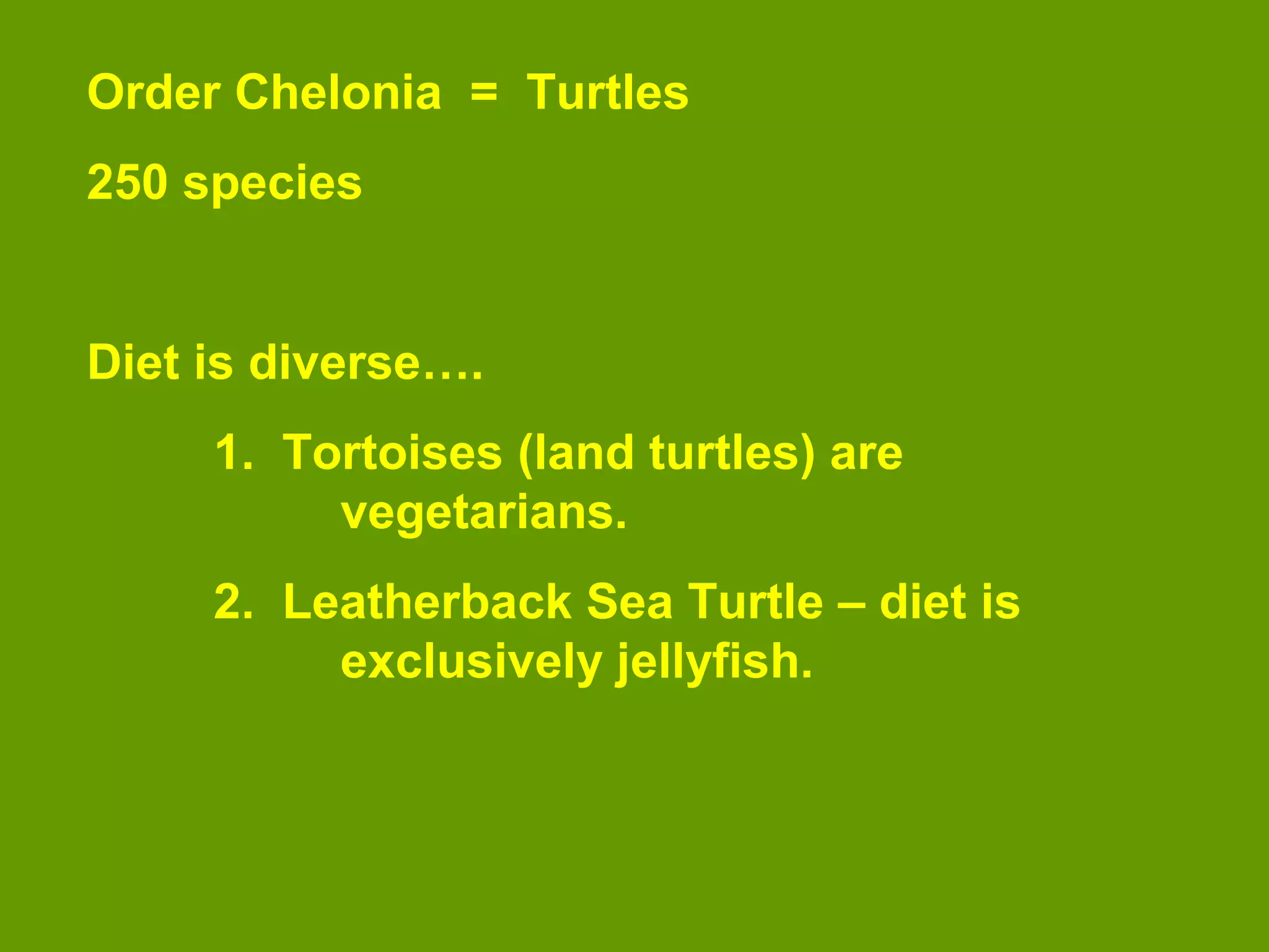 Order Chelonia = Turtles
250 species
Diet is diverse….
1. Tortoises (land turtles) are
vegetarians.
2. Leatherback Sea Turtle – diet is
exclusively jellyfish.
 