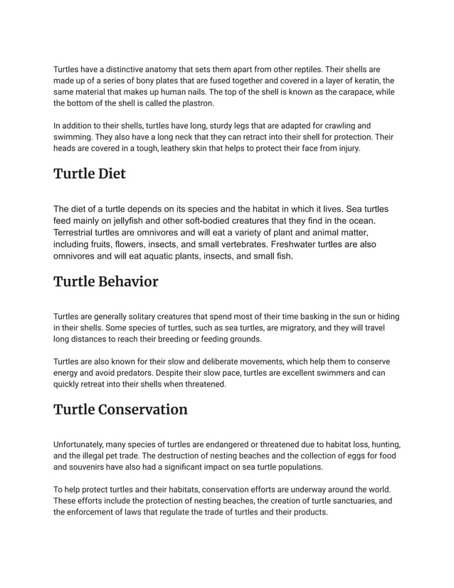 Turtles_ An Overview.pdf