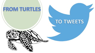 From Turtles
to Tweets
 