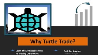 Why Turtle Trade?
Learn The 10 Reasons Why
Its Trading Other Ways With Or Without Trading Skills
Built For Anyone
 