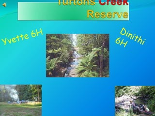 Turtons Creek Reserve Dinithi 6H Yvette 6H   