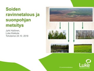 © Luonnonvarakeskus© Luonnonvarakeskus
Jyrki Hytönen,
Luke Kokkola
Toholamoi 24.10. 2018
Soiden
ravinnetalous ja
suonpohjan
metsitys
 