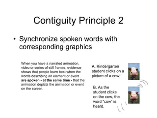 Contiguity Principle 2 Synchronize spoken words with corresponding graphics When you have a narrated animation, video or series of still frames, evidence shows that people learn best when the words describing an element or event  are spoken - at the same time -  that the animation depicts the animation or event on the screen.  A. Kindergarten student clicks on a picture of a cow. B. As the student clicks on the cow, the word “cow” is heard. 