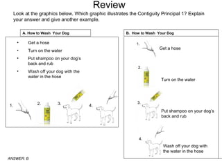 Review Look at the graphics below. Which graphic illustrates the Contiguity Principal 1? Explain your answer and give another example. Get a hose Turn on the water Put shampoo on your dog’s back and rub Wash off your dog with the water in the hose 1. 2. 3. 4.  A. How to Wash  Your Dog B.  How to Wash  Your Dog Get a hose Turn on the water Put shampoo on your dog’s back and rub Wash off your dog with the water in the hose ANSWER: B 