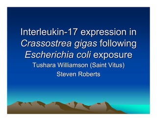 Interleukin-17 expression in
Crassostrea gigas following
 Escherichia coli exposure
  Tushara Williamson (Saint Vitus)
         Steven Roberts