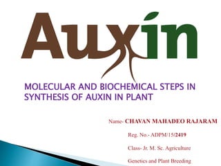 MOLECULAR AND BIOCHEMICAL STEPS IN
SYNTHESIS OF AUXIN IN PLANT
Name- CHAVAN MAHADEO RAJARAM
Reg. No.- ADPM/15/2419
Class- Jr. M. Sc. Agriculture
Genetics and Plant Breeding
 