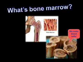 How many bones are in
the human hand?
27
 