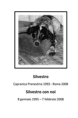  




                                           

                 Silvestro 
    Capranica Prenestina 1993 ‐ Roma 2008 

            Silvestro con noi 
      8 gennaio 1995 – 7 febbraio 2008 
                       
 
 