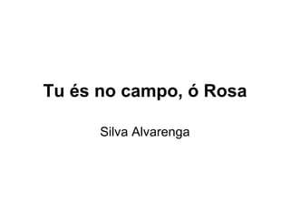 Tu és no campo, ó Rosa Silva Alvarenga 