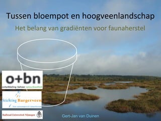 Tussen bloempot en hoogveenlandschap
Het belang van gradiënten voor faunaherstel

Gert-Jan van Duinen

 