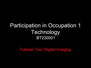 Participation in Occupation 1 Technology BT230001 Tutorial Two: Digital Imaging  