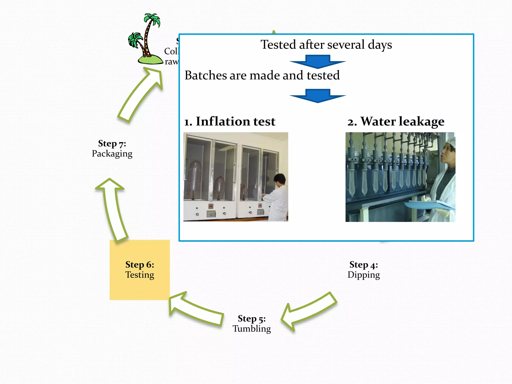 Step 2:
Compounding
Step 3:
Storage
Step 4:
Dipping
Step 5:
Tumbling
Step 6:
Testing
Step 7:
Packaging
Step 1:
Collection of
raw material
Tested after several days
Batches are made and tested
1. Inflation test 2. Water leakage
test
 