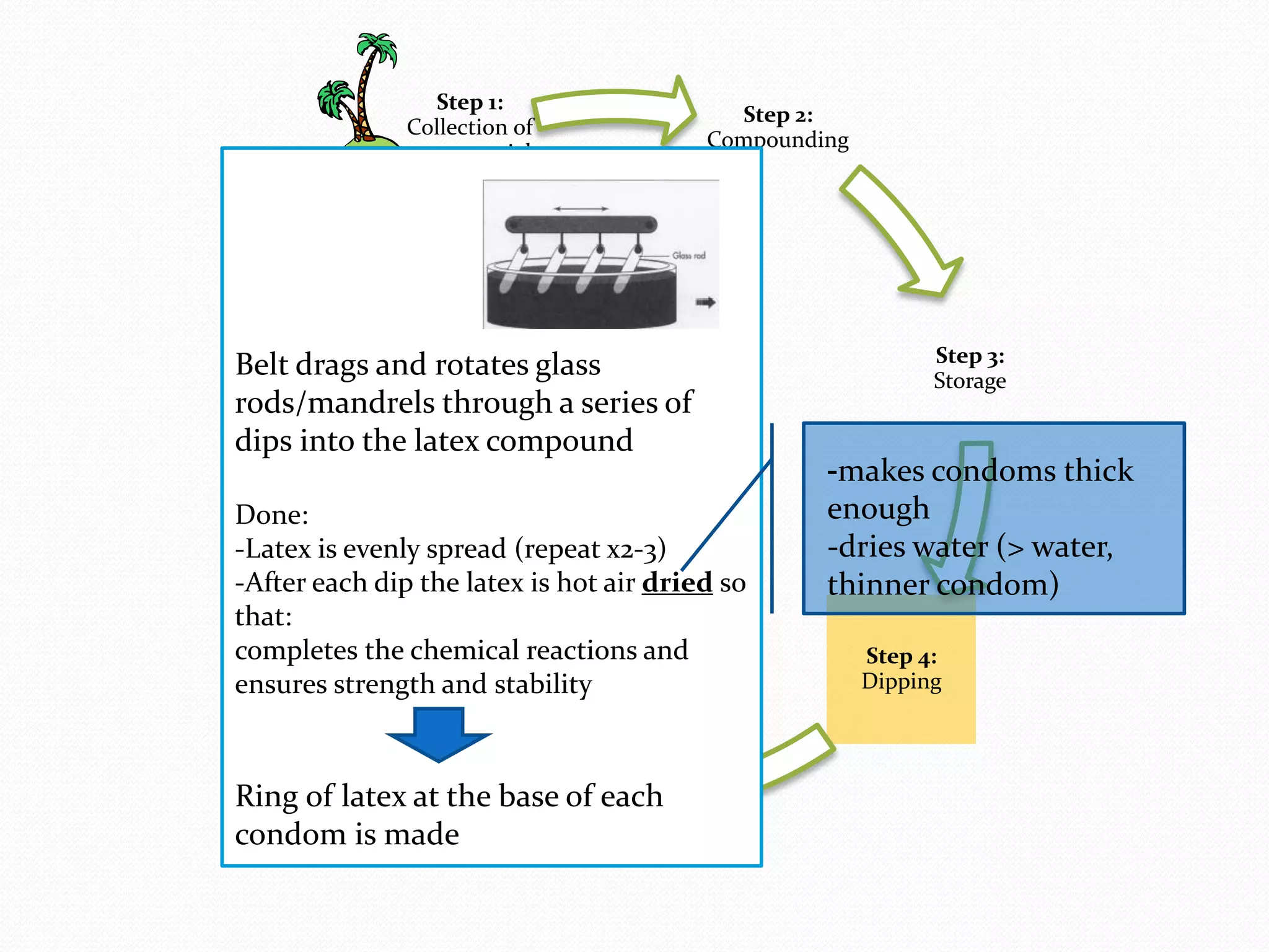 Step 1:
                                           Step 2:
               Collection of
                                         Compounding
               raw material




 Belt 7:
  Step
       drags and rotates glass
Packaging
                                                             Step 3:
                                                             Storage
 rods/mandrels through a series of
 dips into the latex compound
                                                  -makes condoms thick
Done:                                             enough
-Latex is evenly spread (repeat x2-3)             -dries water (> water,
-After each dip the latex is hot air dried so     thinner condom)
that:
completes 6: chemical reactions and
       Step the                                        Step 4:
       Testing
ensures strength and stability                         Dipping




Ring of latex at the base ofStep 5:
                             each
                           Tumbling
condom is made
 