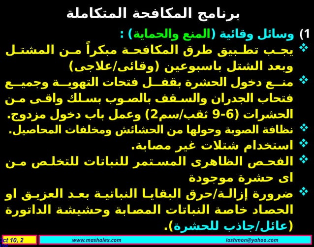 Tuta absoluta insect morphology and control | PPT