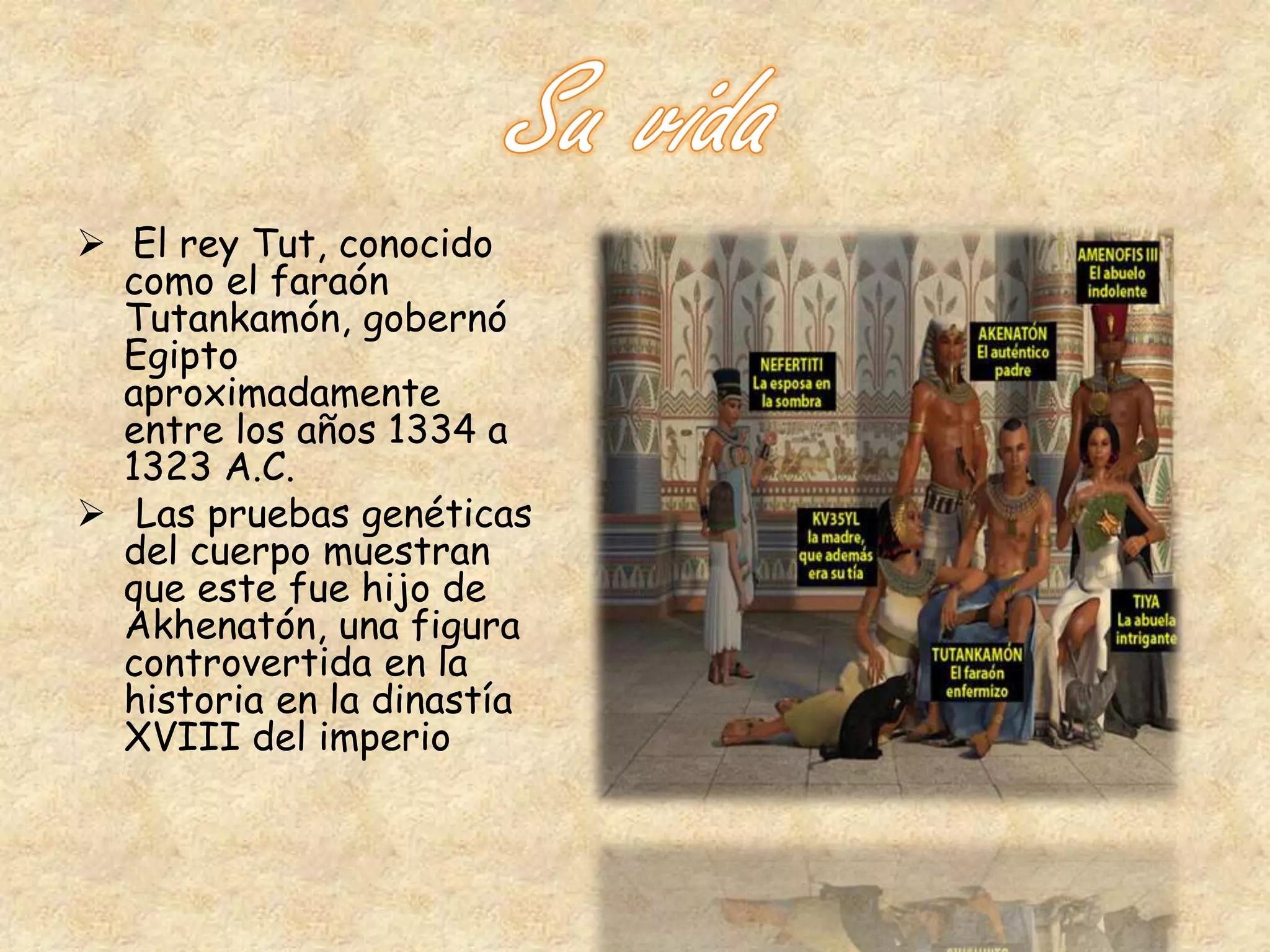  El rey Tut, conocido 
como el faraón 
Tutankamón, gobernó 
Egipto 
aproximadamente 
entre los años 1334 a 
1323 A.C. 
 Las pruebas genéticas 
del cuerpo muestran 
que este fue hijo de 
Akhenatón, una figura 
controvertida en la 
historia en la dinastía 
XVIII del imperio 
 