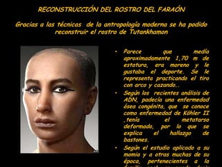 RECONSTRUCCIÓN DEL ROSTRO DEL FARAÓN

Gracias a las técnicas de la antropología moderna se ha podido
             reconstr...