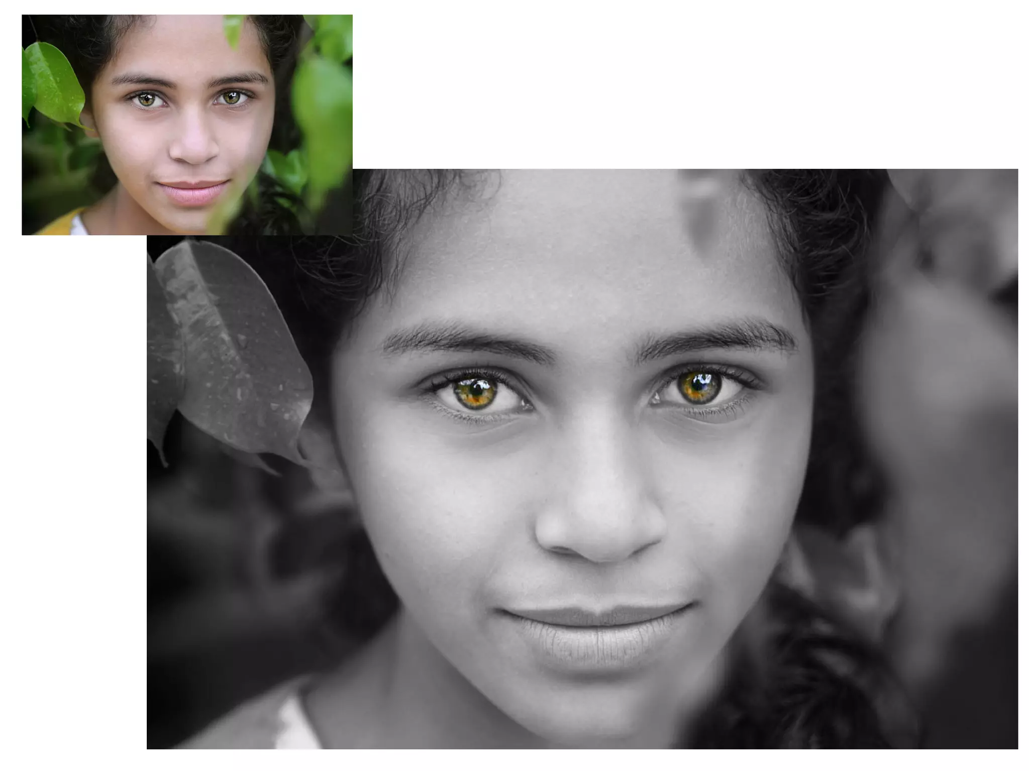 Tutorial: Color resaltado en gimp